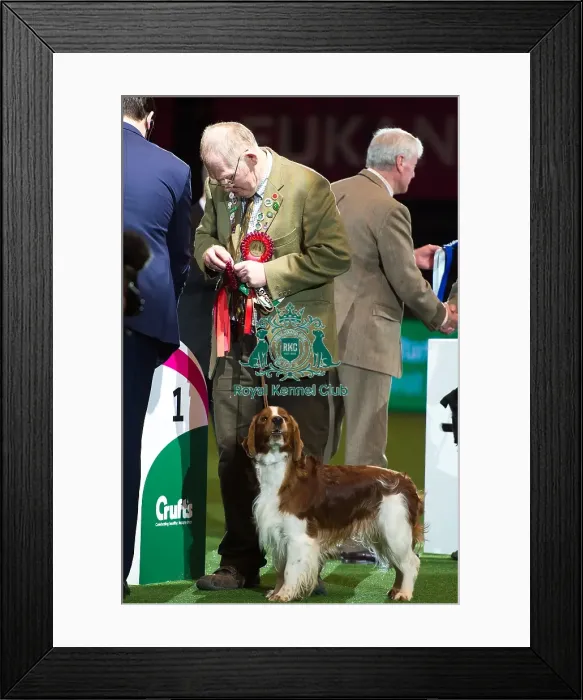 Framed Print : Gamekeepers Competition - winner Framed Print : Gamekeepers Competition - winner