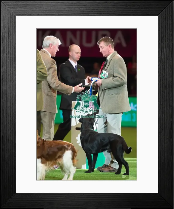 Framed Print : Gamekeepers Competition 2nd Framed Print : Gamekeepers Competition 2nd