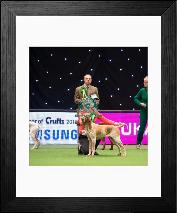 Framed Print : Gundog Group Framed Print : Gundog Group