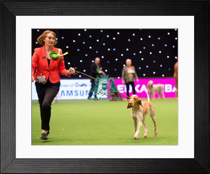 Framed Print : Gundog Group Framed Print : Gundog Group