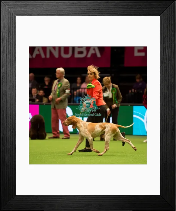 Framed Print : Gundog Group Framed Print : Gundog Group