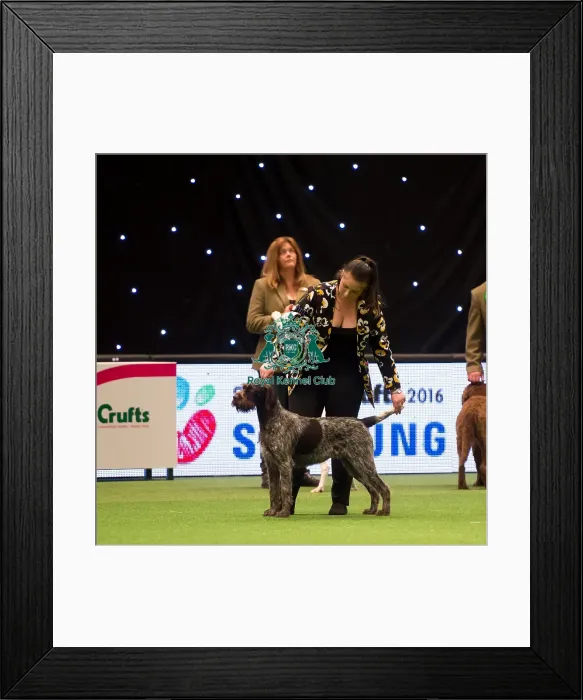 Framed Print : Gundog Group Framed Print : Gundog Group