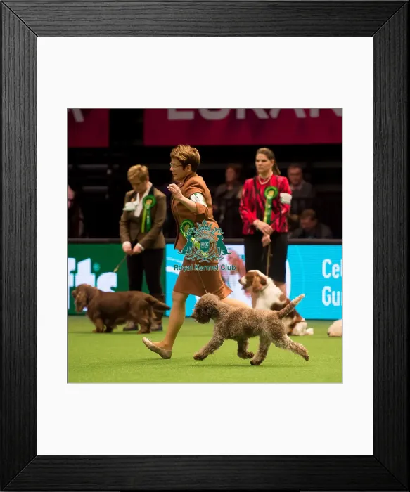Framed Print : Gundog Group Framed Print : Gundog Group