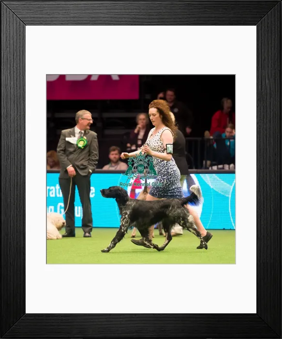 Framed Print : Gundog Group Framed Print : Gundog Group