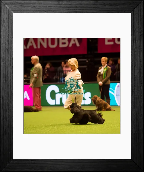 Framed Print : Gundog Group Framed Print : Gundog Group