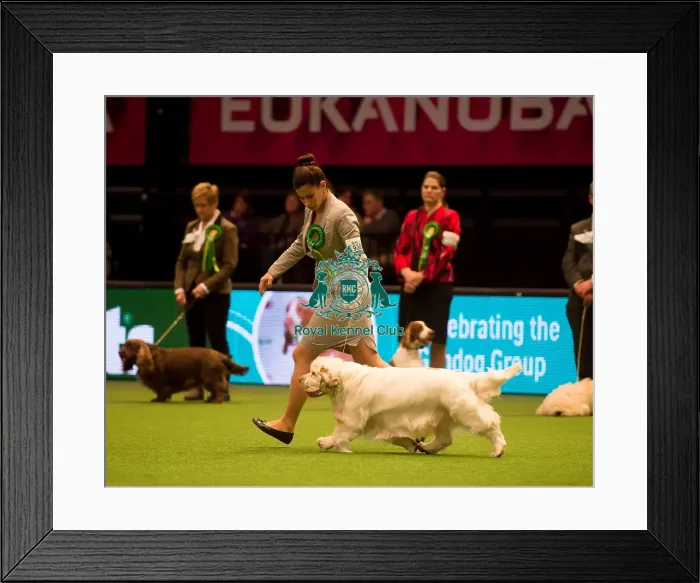 Framed Print : Gundog Group Framed Print : Gundog Group