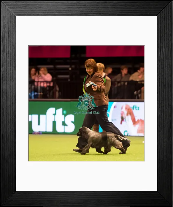 Framed Print : Gundog Group