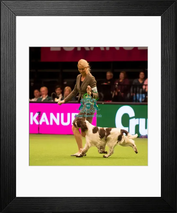 Framed Print : Gundog Group Framed Print : Gundog Group