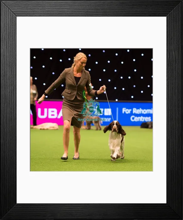 Framed Print : Gundog Group Framed Print : Gundog Group