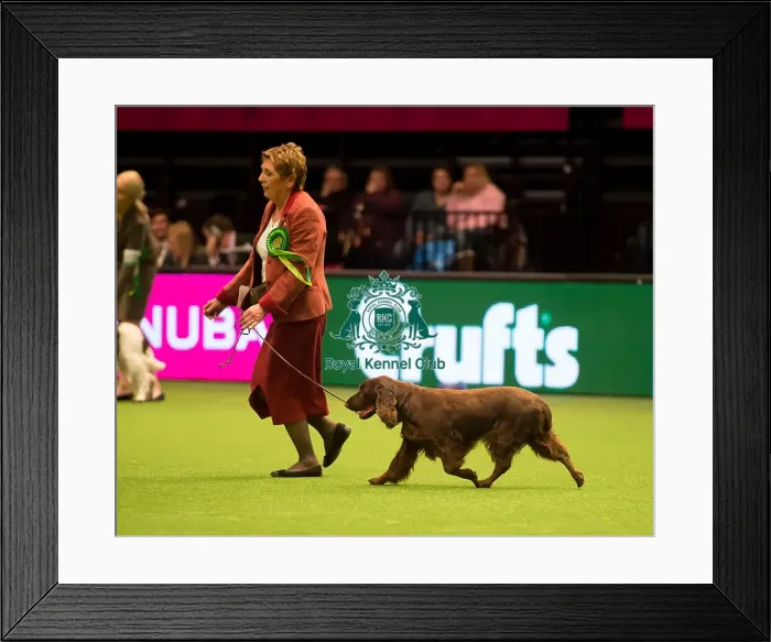 Framed Print : Gundog Group Framed Print : Gundog Group