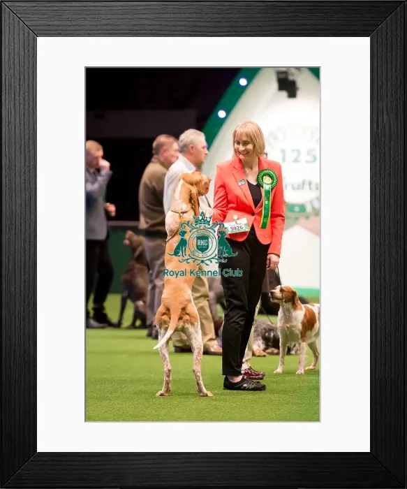 Framed Print : Gundog Group Framed Print : Gundog Group