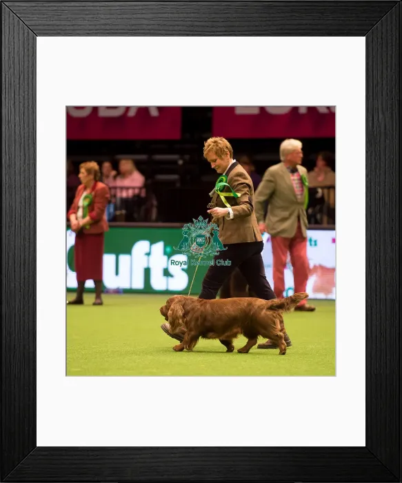 Framed Print : Gundog Group Framed Print : Gundog Group