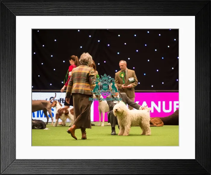 Framed Print : Gundog Group