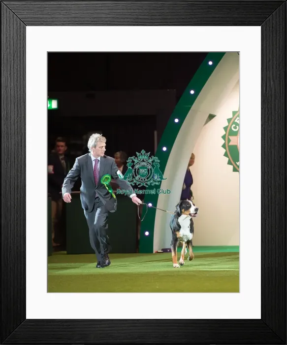 Framed Print : AV Imported Register Framed Print : AV Imported Register