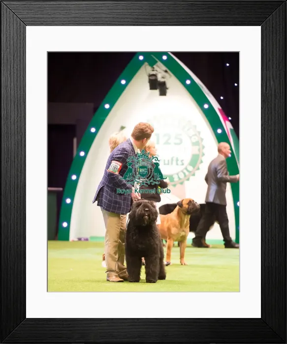 Framed Print : Working Group- winner Framed Print : Working Group- winner
