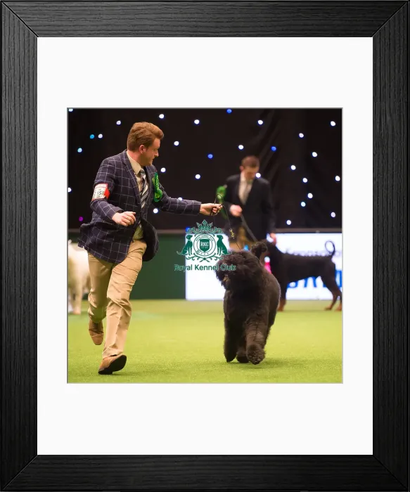 Framed Print : Working Group- winner Framed Print : Working Group- winner
