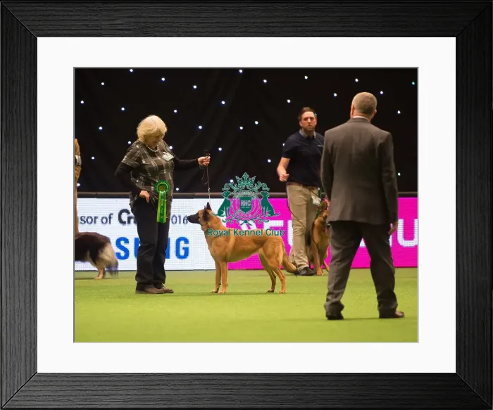Framed Print : Pastoral Group Framed Print : Pastoral Group