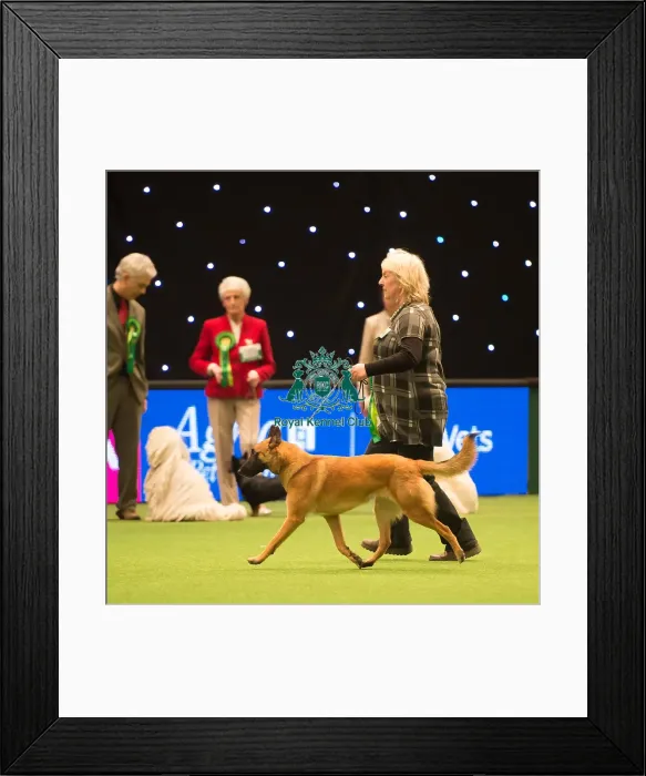 Framed Print : Pastoral Group Framed Print : Pastoral Group