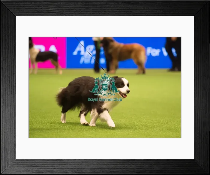 Framed Print : Pastoral Group - winner Framed Print : Pastoral Group - winner