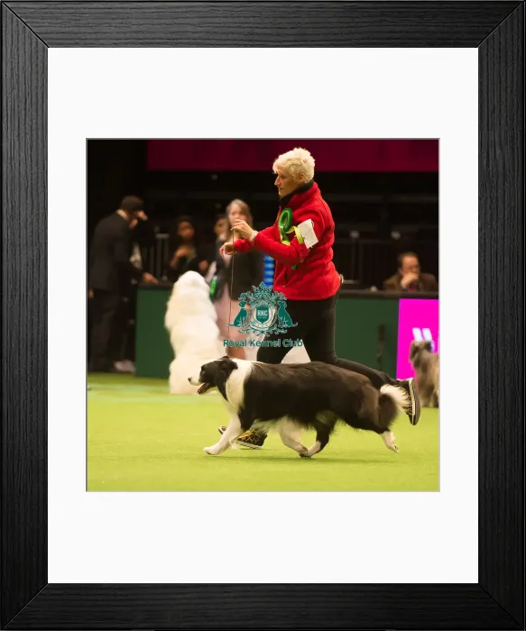 Framed Print : Pastoral Group - winner Framed Print : Pastoral Group - winner