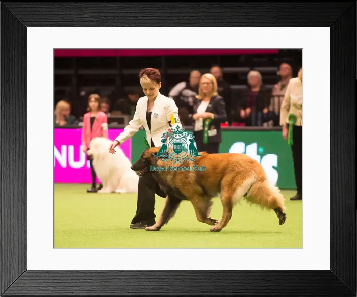 Framed Print : Pastoral Group Framed Print : Pastoral Group