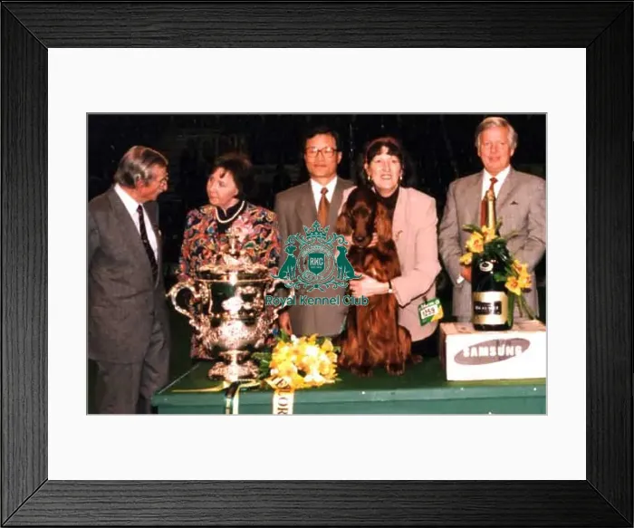 : 1995 Crufts Best in Show Winner : 1995 Crufts Best in Show Winner