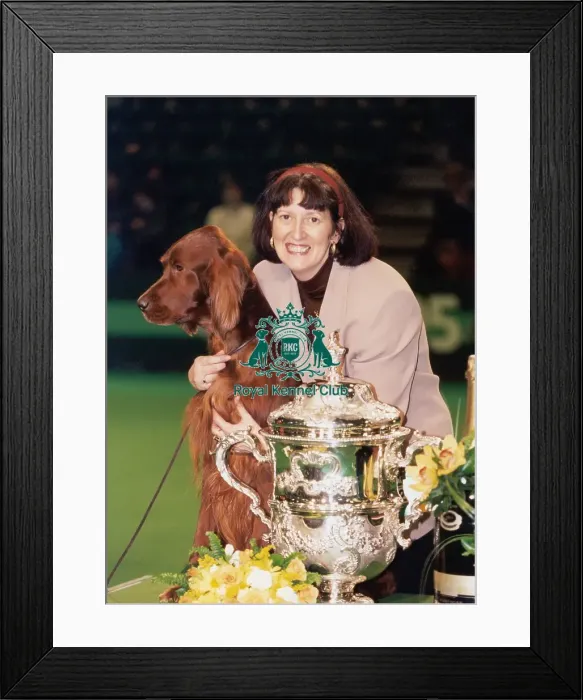 Framed Print : 1993 Crufts Best in Show Winner