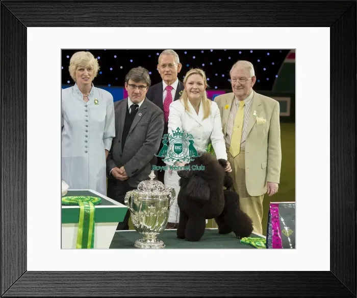 Framed Print : Reserve Best in Show Winner Framed Print : Reserve Best in Show Winner
