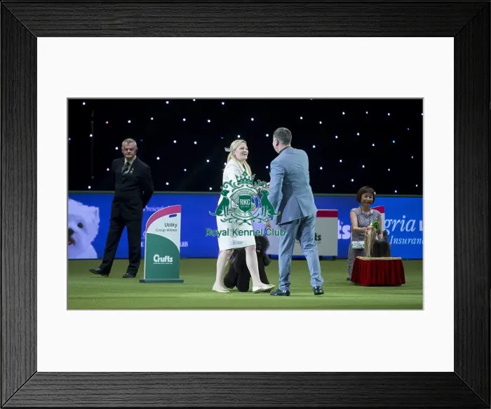Framed Print : Reserve Best in Show Winner