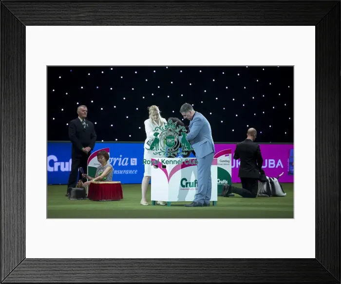 Framed Print : Reserve Best in Show Winner