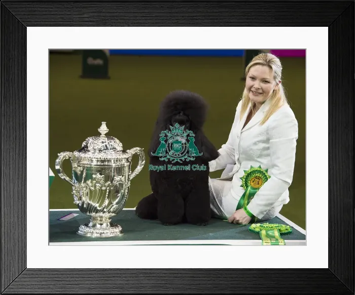 Framed Print : Crufts 2017 Framed Print : Crufts 2017