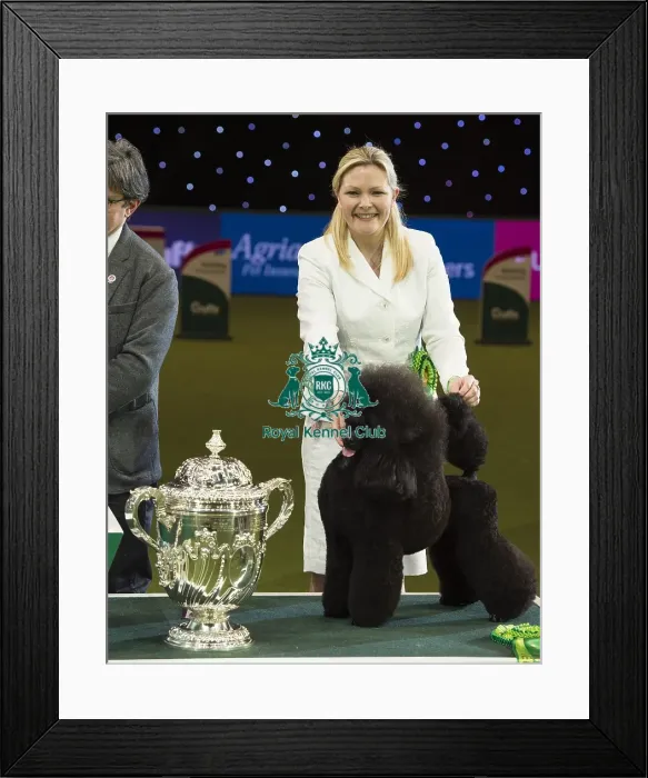 Framed Print : Crufts 2017