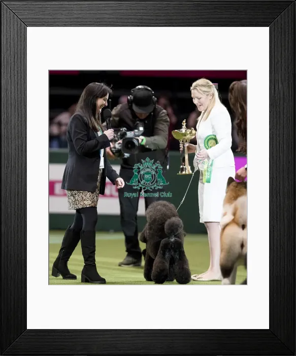 Framed Print : Crufts 2017 Framed Print : Crufts 2017