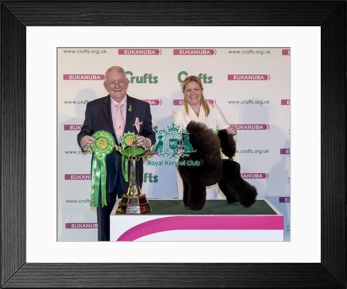 Framed Print : Crufts 2017 Framed Print : Crufts 2017