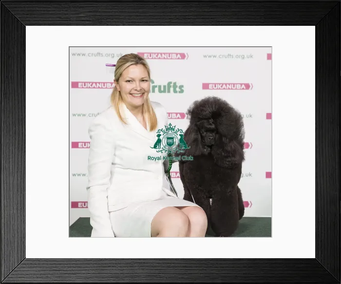Framed Print : Crufts 2017 Framed Print : Crufts 2017