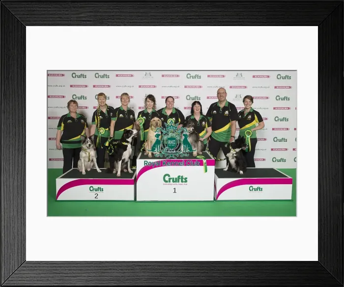 Framed Print : Crufts 2017 Framed Print : Crufts 2017
