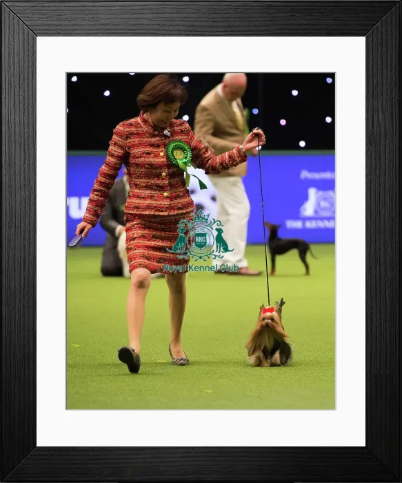 Framed Print : Toy Group Winner