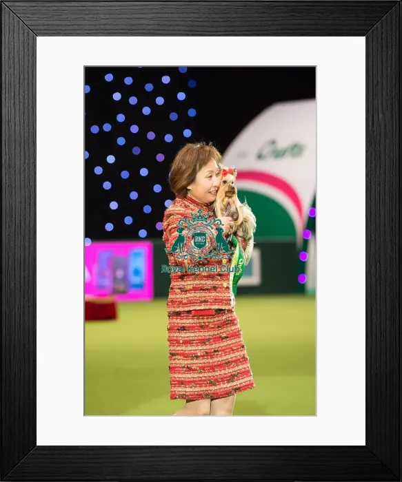 Framed Print : Toy Group Winner Framed Print : Toy Group Winner