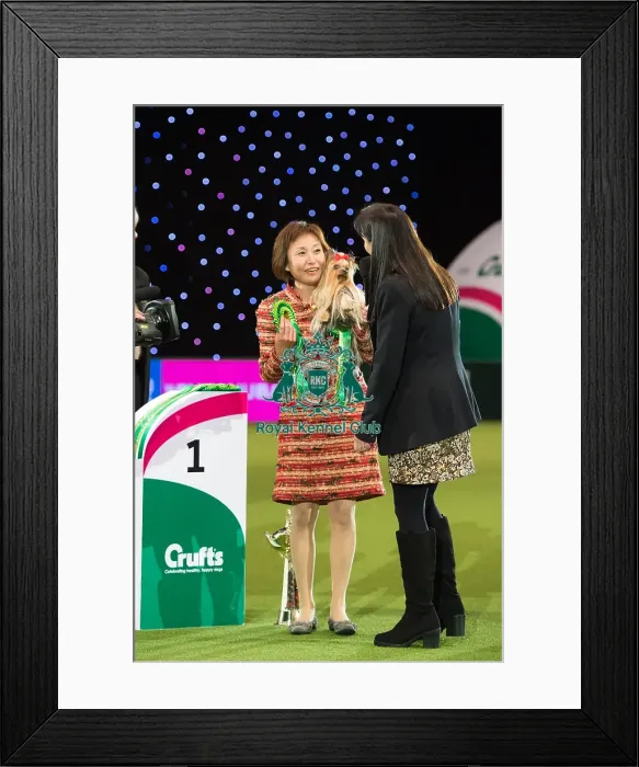Framed Print : Toy Group Winner Framed Print : Toy Group Winner