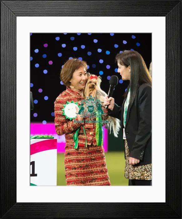 Framed Print : Toy Group Winner Framed Print : Toy Group Winner