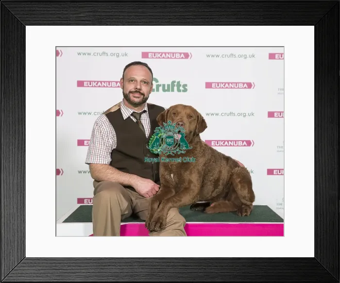 Framed Print : Crufts 2017 Framed Print : Crufts 2017