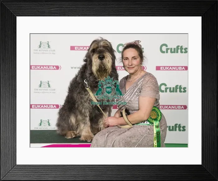 Framed Print : Crufts 2017 Framed Print : Crufts 2017
