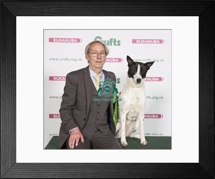 Framed Print : Crufts 2017 Framed Print : Crufts 2017