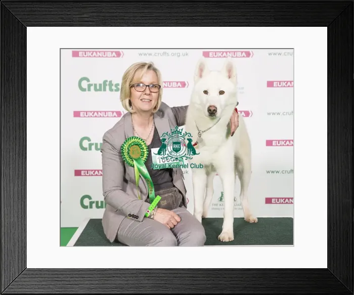 Framed Print : Crufts 2017 Framed Print : Crufts 2017