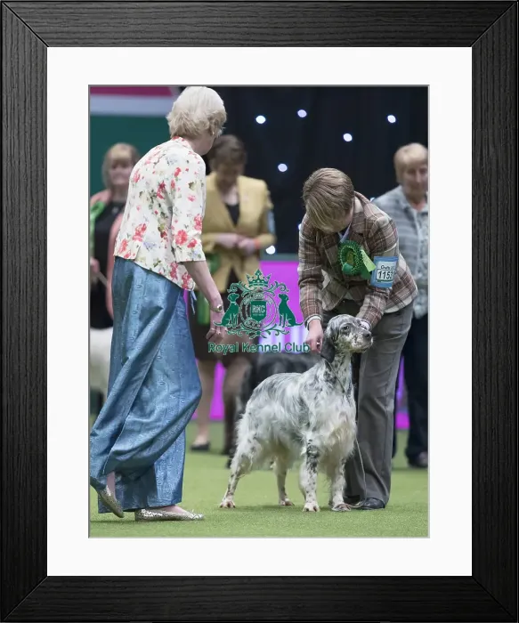 Framed Print : Crufts 2017 Framed Print : Crufts 2017