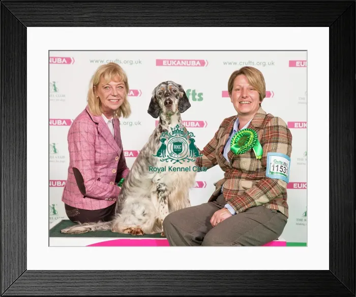 Framed Print : Crufts 2017