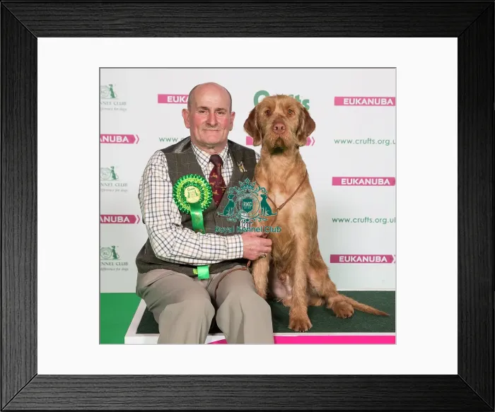 Framed Print : Crufts 2017 Framed Print : Crufts 2017