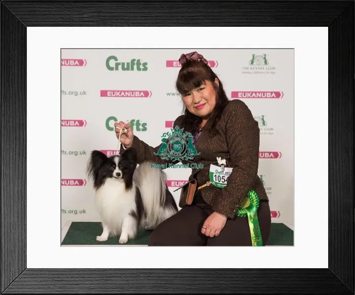 Framed Print : Crufts 2017 Framed Print : Crufts 2017