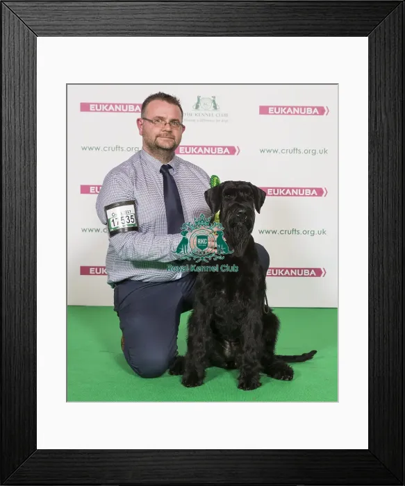 Framed Print : Crufts 2017