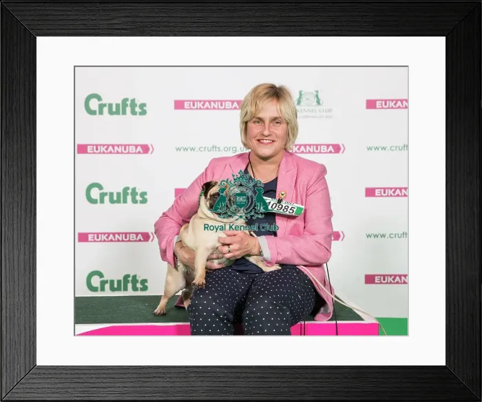 Framed Print : Crufts 2017